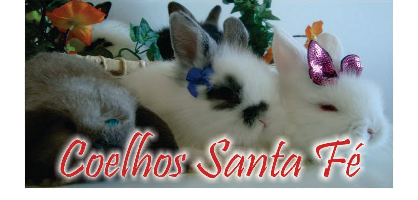 Coelhos Santa Fé