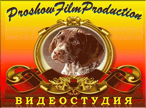 Студия ProshowFilmProduction