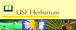 USF Herbarium