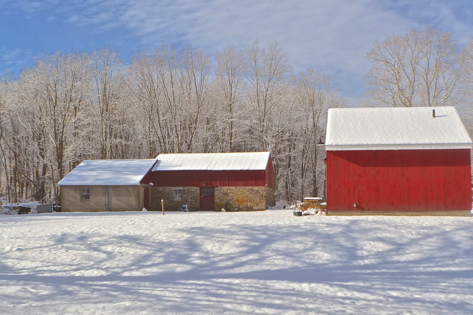 Focus On Killingworth, CT and Surrounding Towns Snow Scenes at