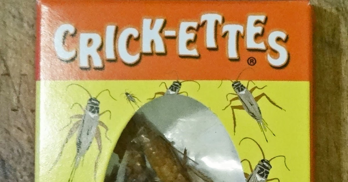 MAD MEAT GENIUS BACON & CHEESE CRICKETS