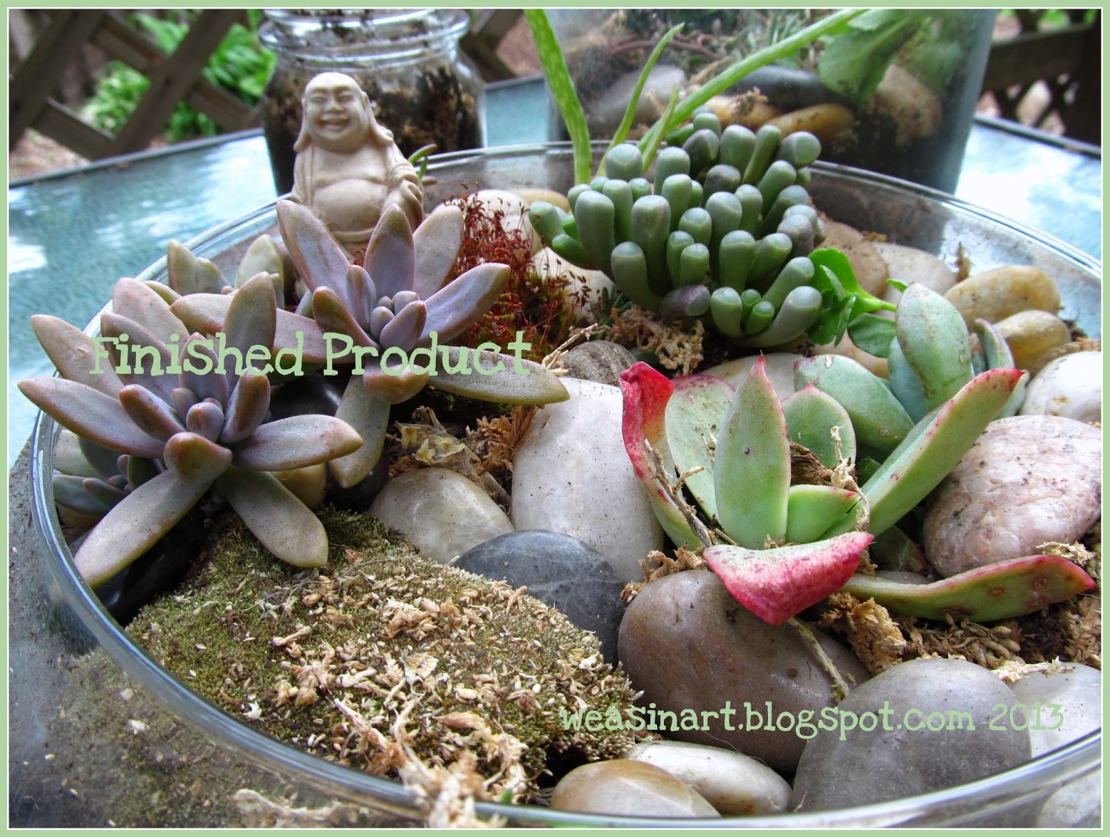 weasinart Sunday Funday DIY Terrariums & Rock Gardens