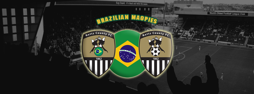Brazilian Magpies