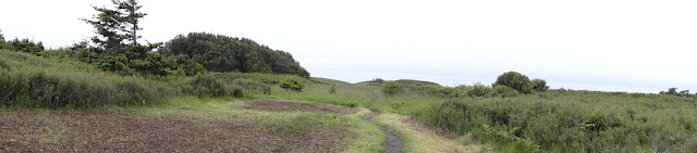 Northwest Coast island