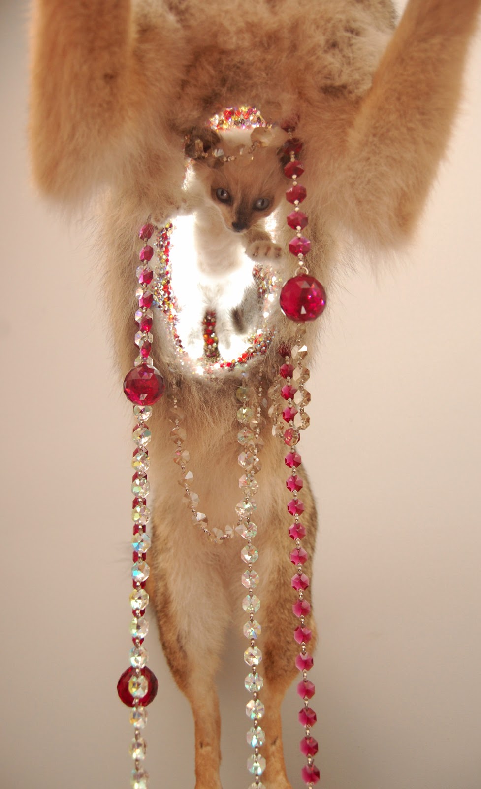 Diamond Tooth Taxidermy