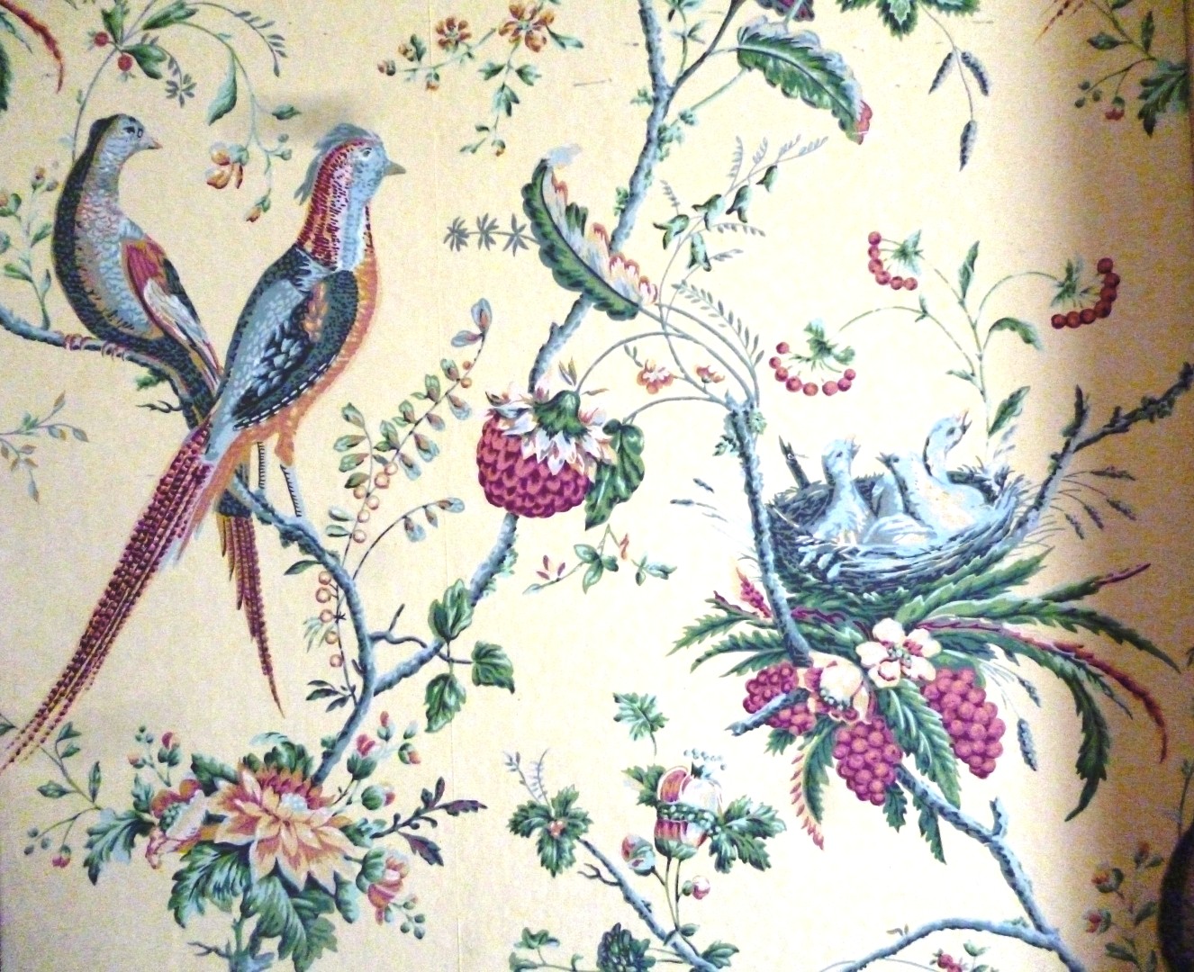 Writing Straight from the Heart: Old Fashioned Wallpaper for the Birds!