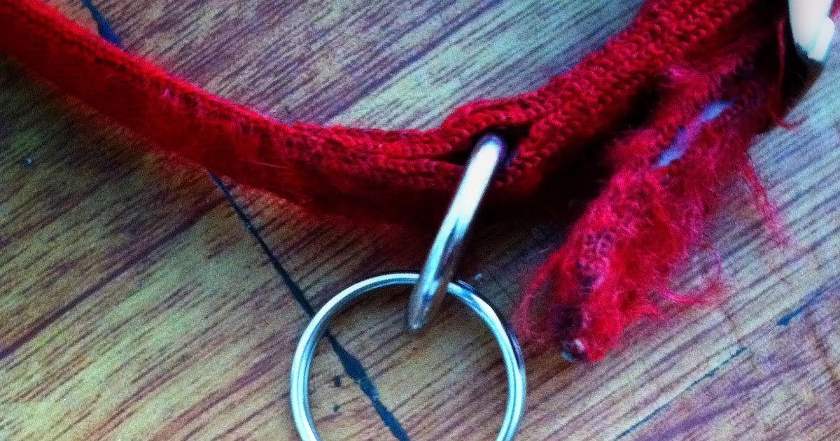 The Adventures of Ruffwonder and Pupfury How to prevent your dog from