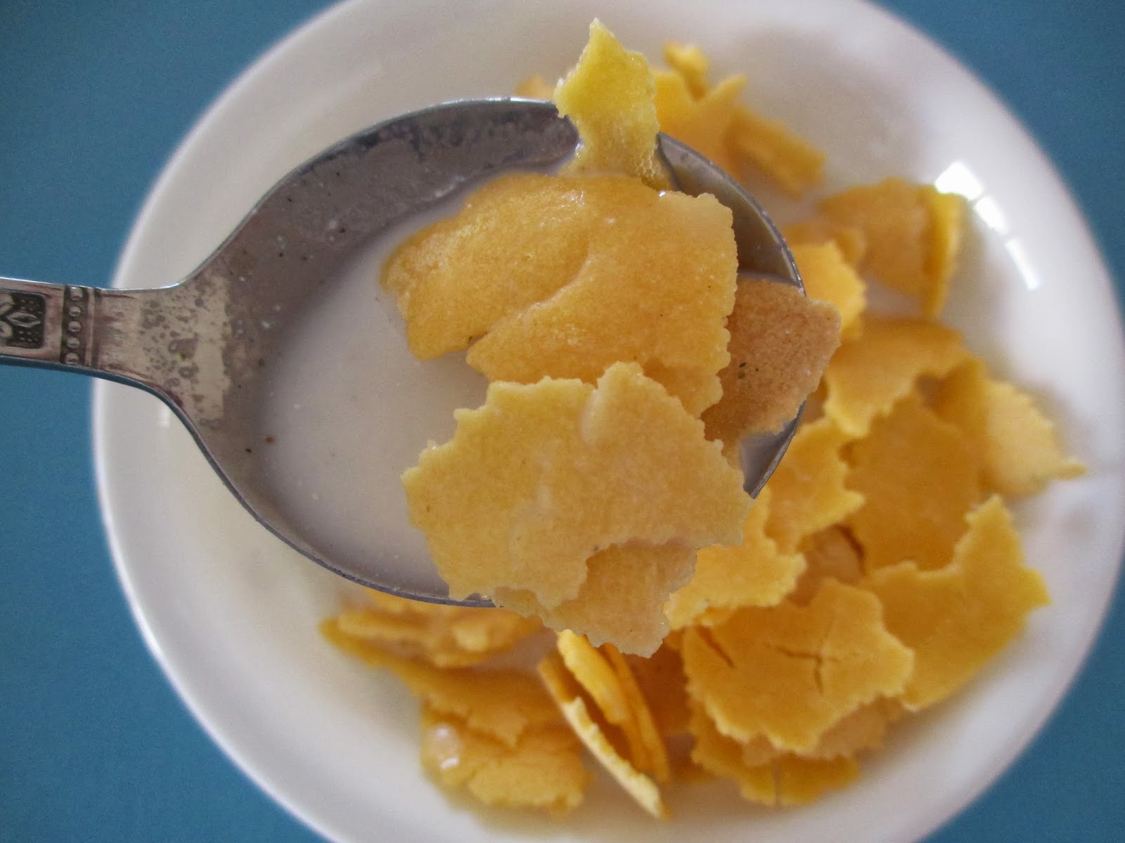 Stacie Michelle Homemade Corn Flakes [Vegan, Gluten & Sugar Free]