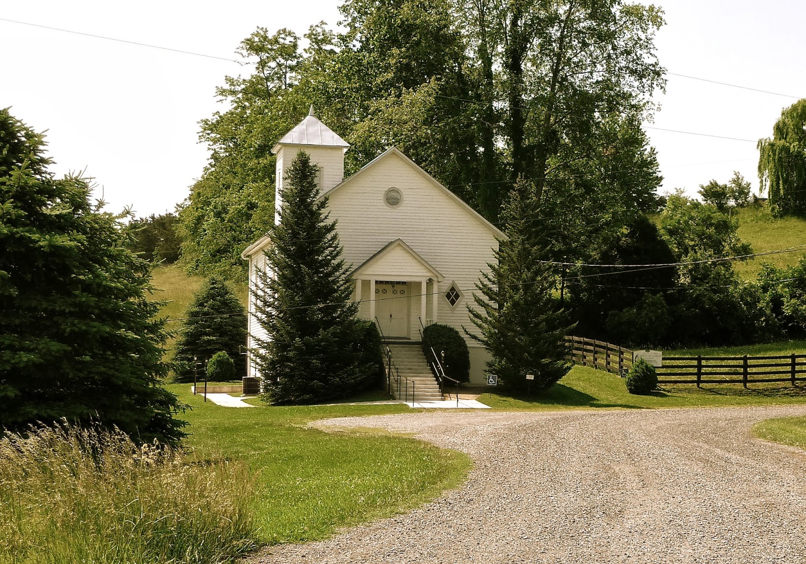 Mosi Outside Walter S Viburnum