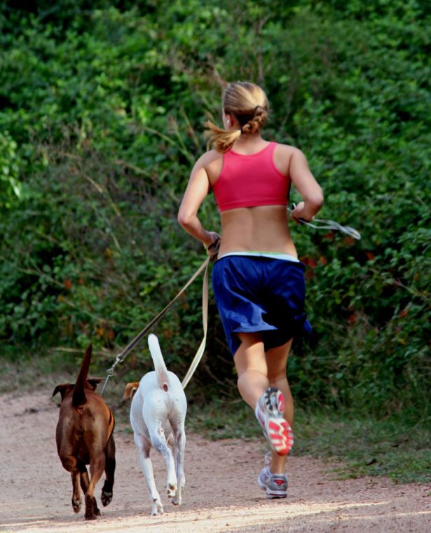 Cardio Trek Toronto Personal Trainer Dog Jogging for Beginners
