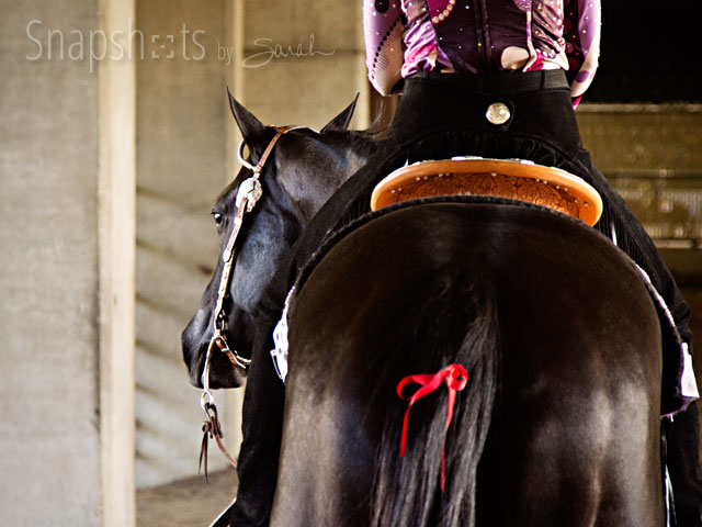 and pony show meaning equine tips care what does a ribbon in a and pony show meaning equine tips care what does a ribbon in a