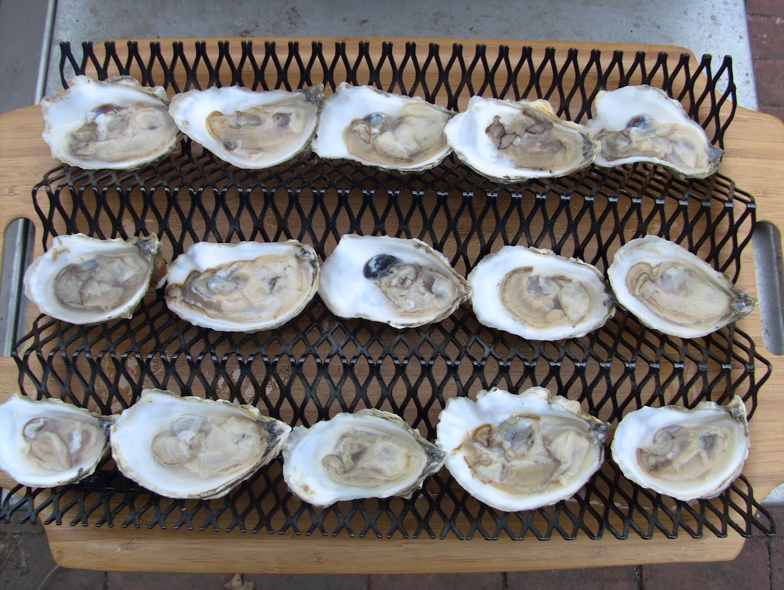 Go Shuck An Oyster Shellfish Cooking Rack