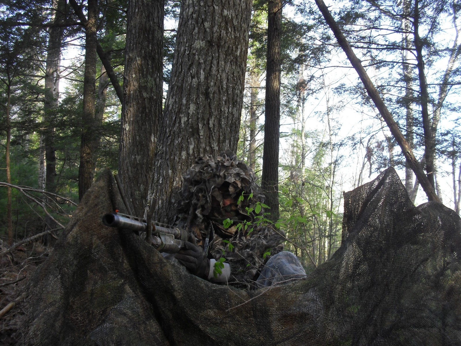 The Maine Outdoorsman Camo Little Changes Make Big Difference