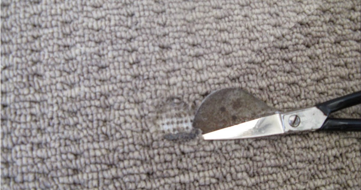 Your Home Thoughts Tips to Repair Burned Carpets