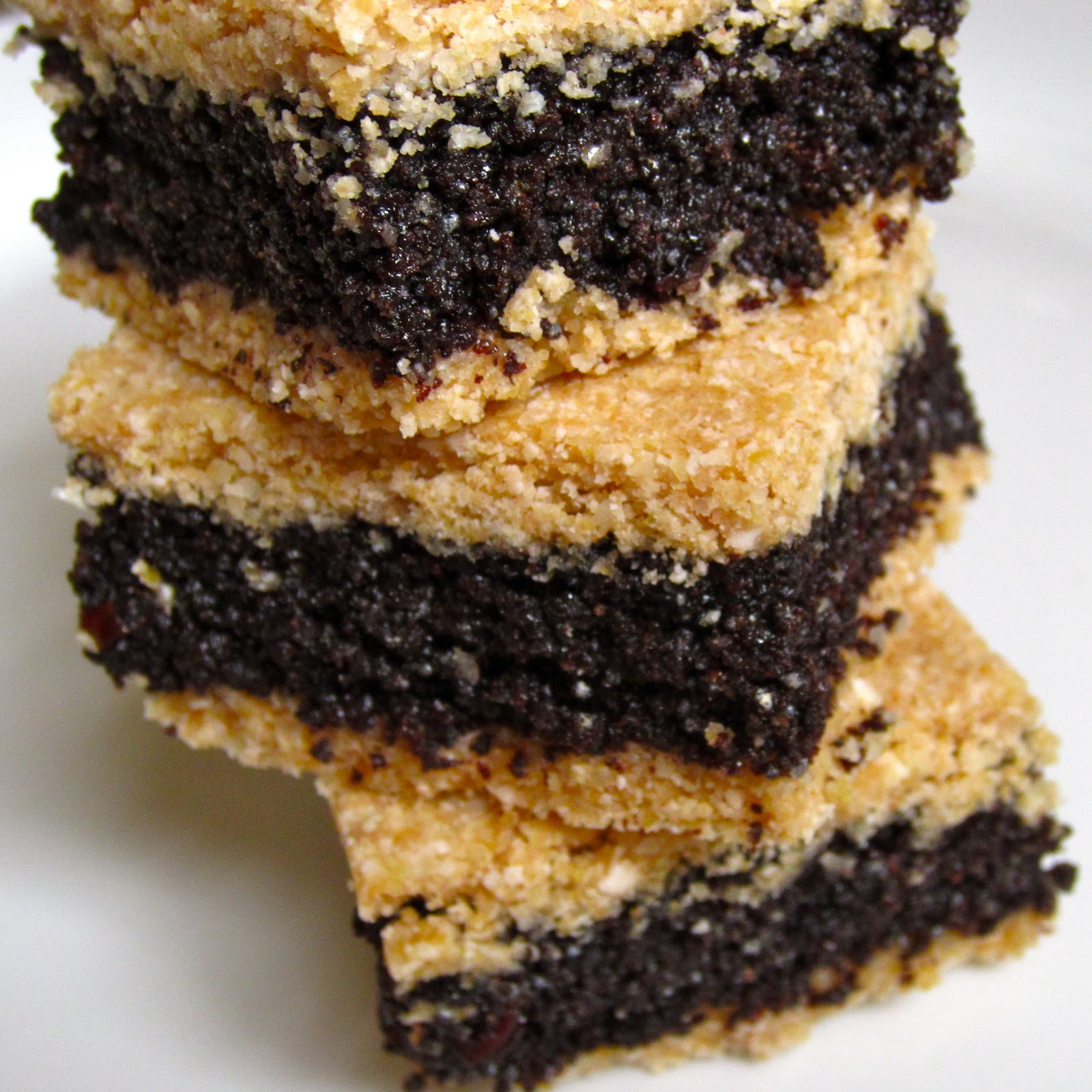 RAW Food for Truth Poppy Seed Bars