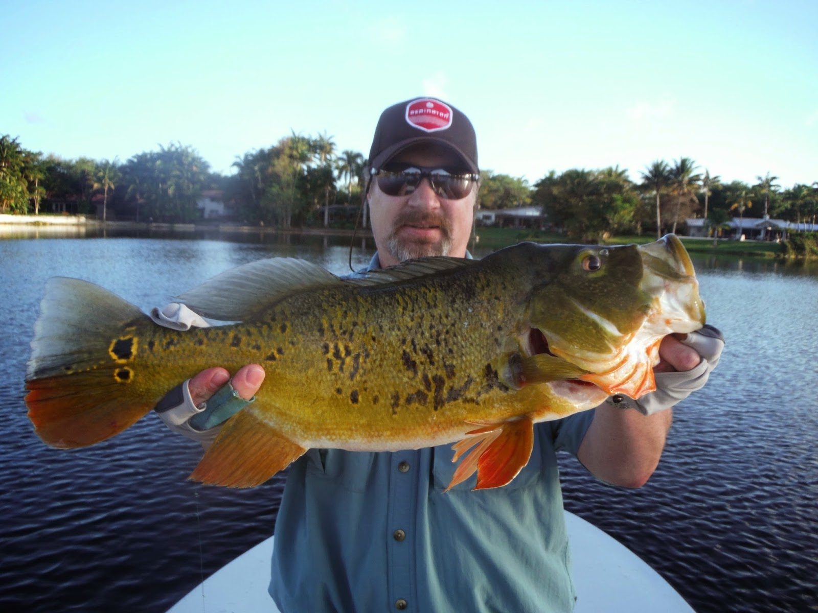 Fly Fishing the West with Howard Fly Fishing For Peacock Bass In
