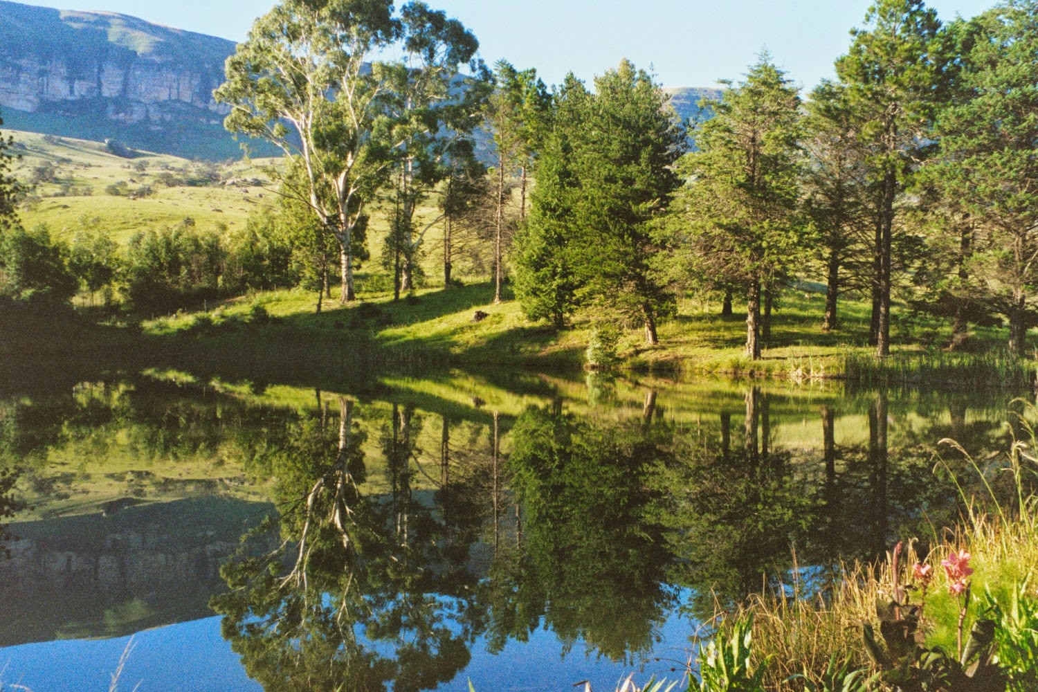 South African trout fishing