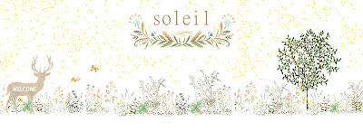 le soleil