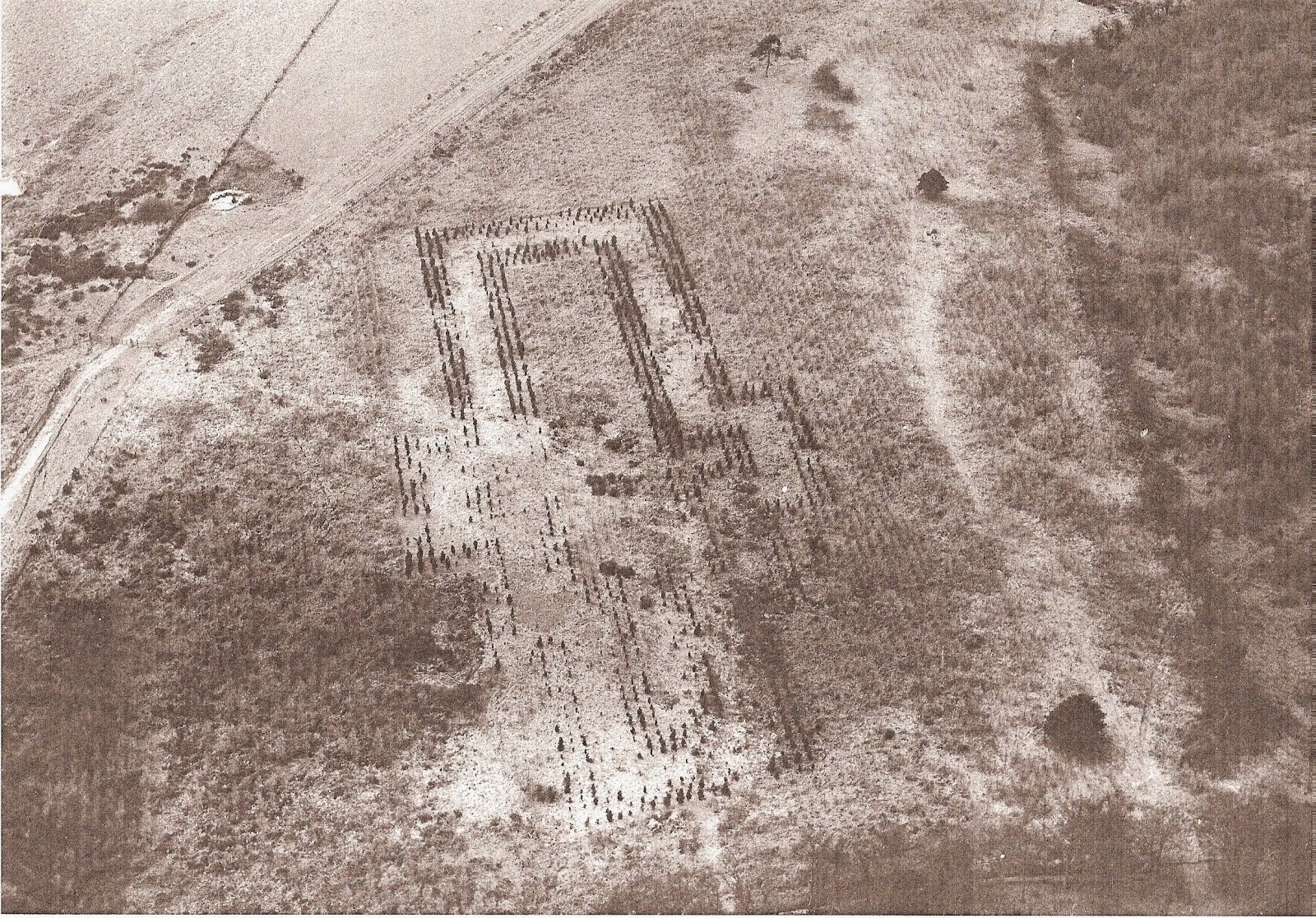 aerial view of the Cathedral shortly after planting