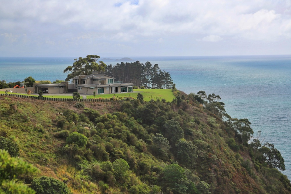 Life Is An Absurd Journey Alpaca Saudara Jauh Llama Di New Zealand