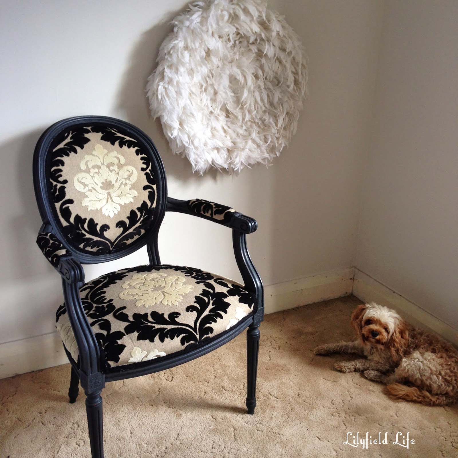 Lilyfield Life French Chair Upholstery