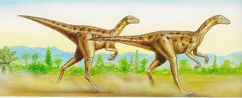 ilblogdeidinosauri Il saltopus