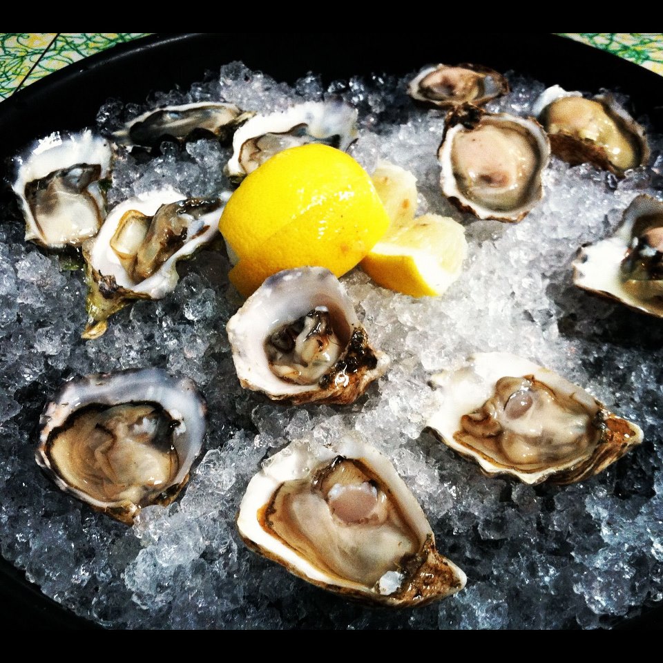 Gourmet Pigs Weekly 1 Oyster Specials!