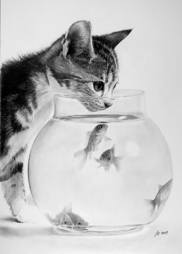 Pencil Drawing Methods | Photo Realistic Pencil Drawing ...