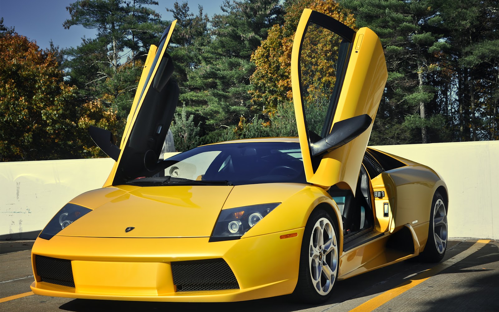 HD 2012 Wallpapers: Beautiful Cars HD Wallpapers Set 5