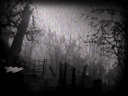 [Image: Rain-in-the-Dark-rain-23336657-435-327.gif]