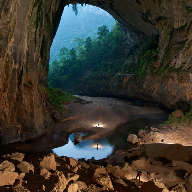 hang son cave has a forest inside hang son cave has a forest inside