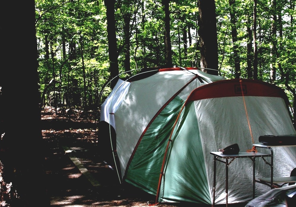 Lake Norman State Park Lake Norman State Park Camping