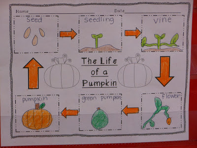 For the Love of First Grade: The Great Pumpkin Investigation