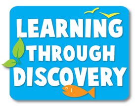 Learning through Discovery