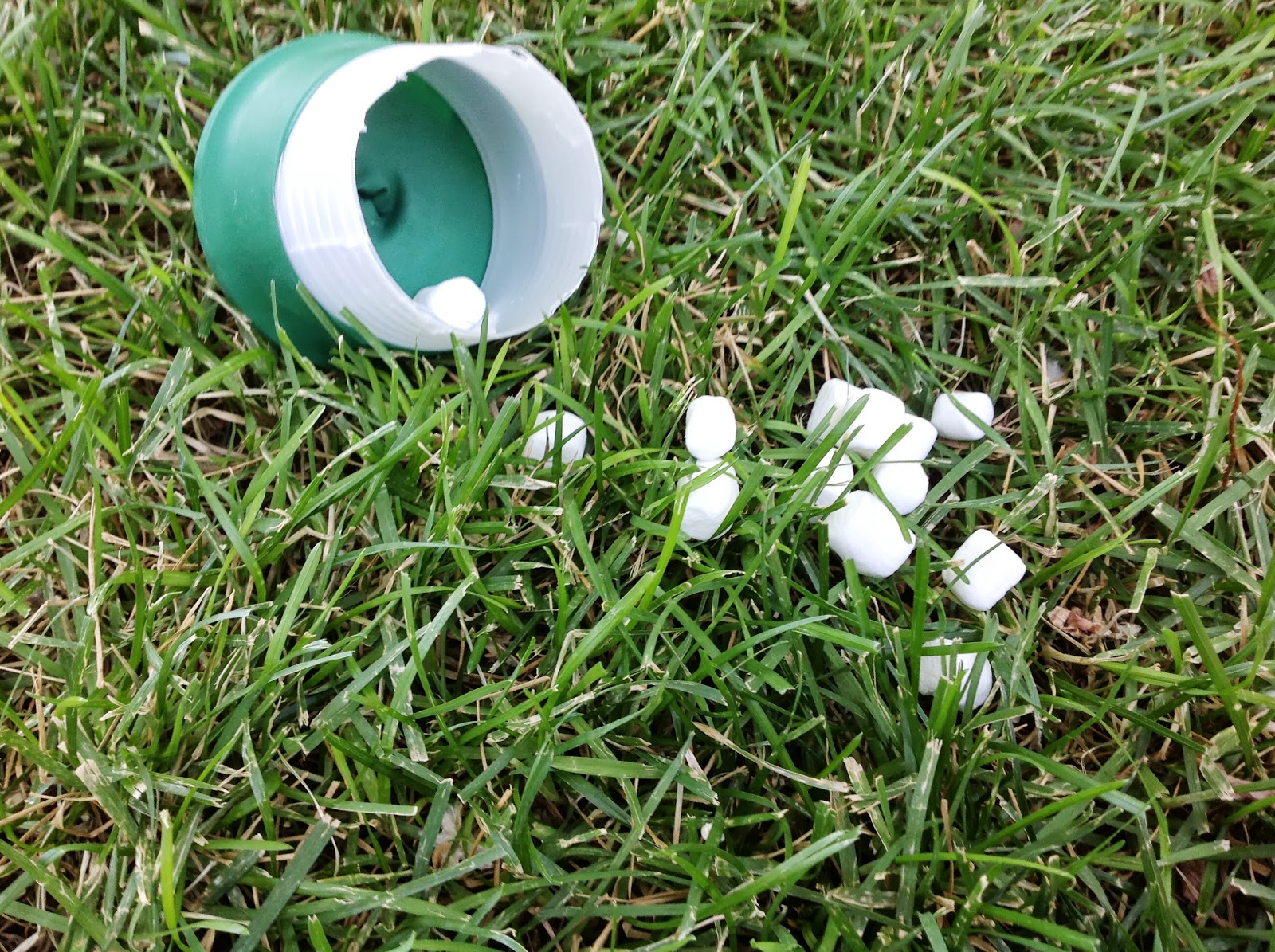 Puddle Wonderful Learning The Great Marshmallow Shoot Out