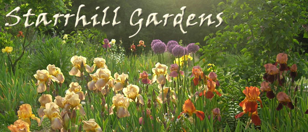 Starrhill Gardens