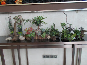 Classic "BONSAI" garden at  "Marriott Hotel" entrance foyer.