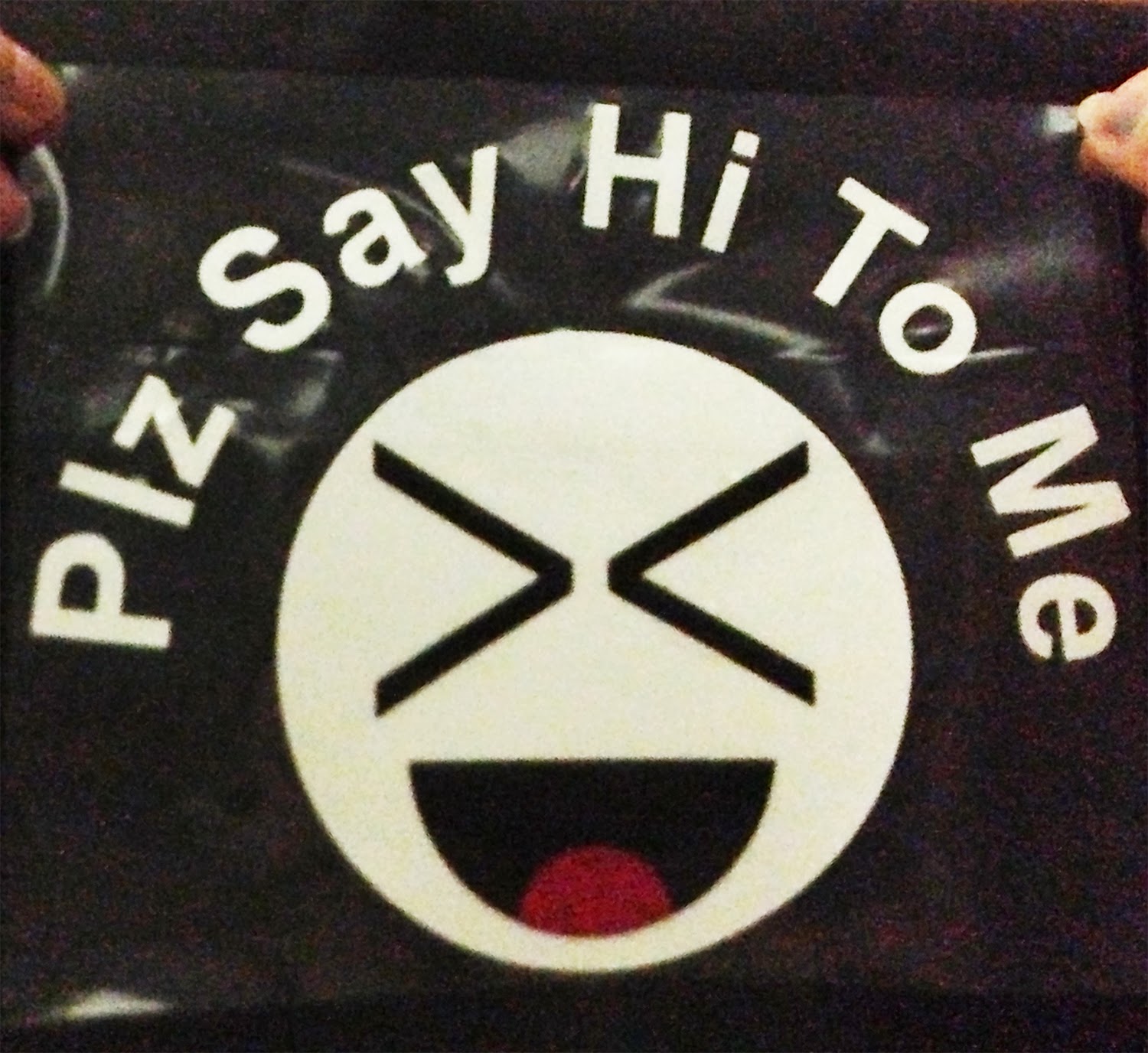 Car Window Sticker Decal Plz Say Hi To Me