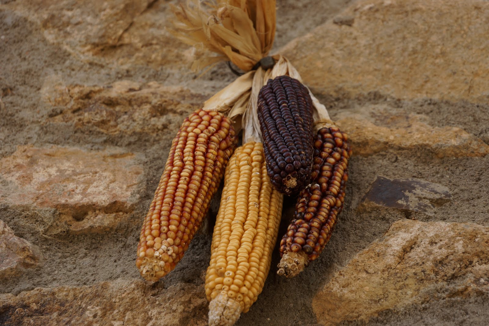 Las Crónicas de Yeria Espinelves