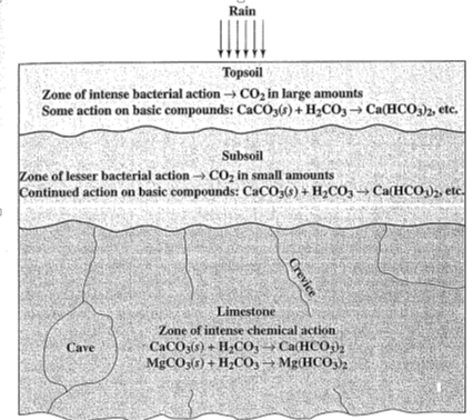 Cinta Lingkungan: mengenal kesadahan air