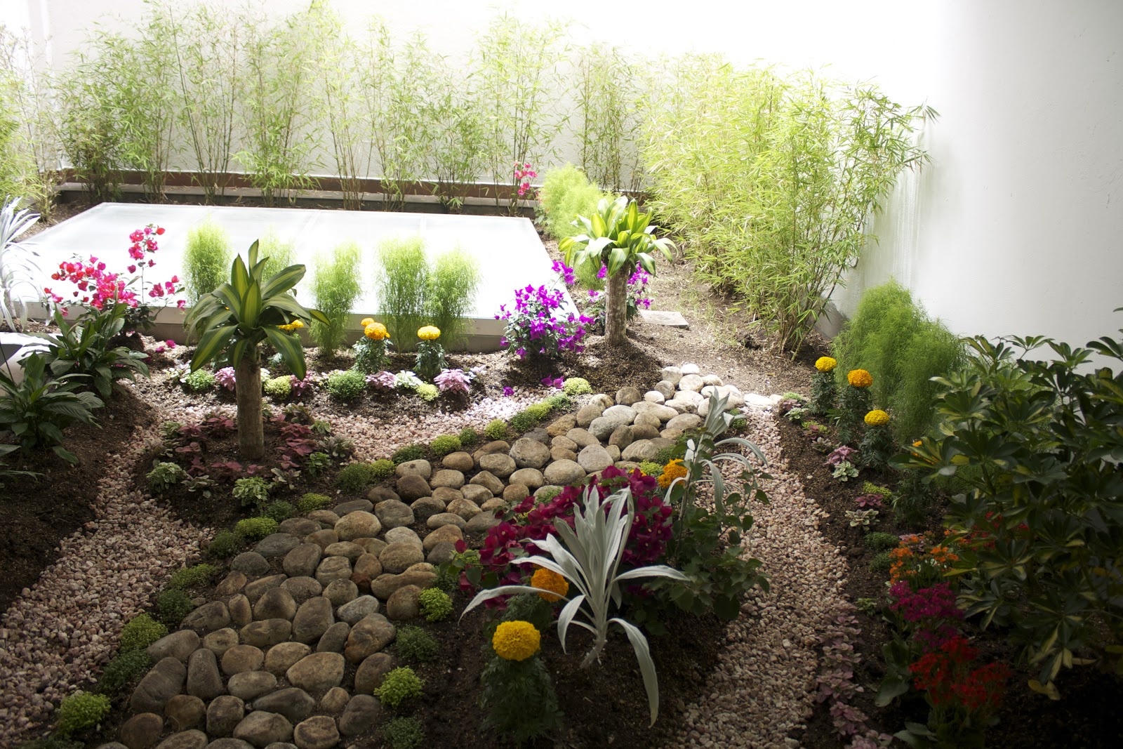 Lude Elements: Flores, huertos, jardinería y más: Diseño de jardín y