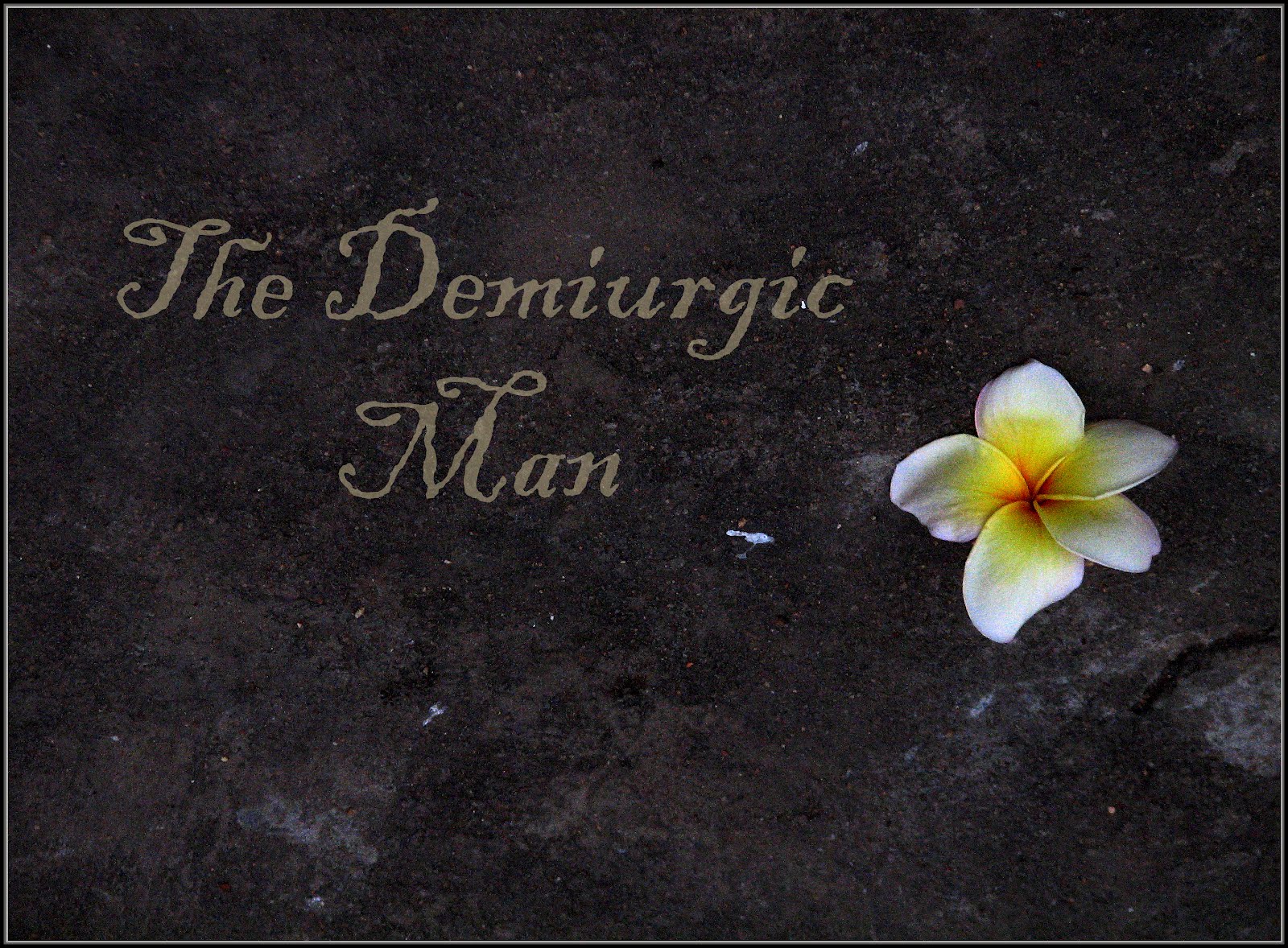 The Demiurgic Man