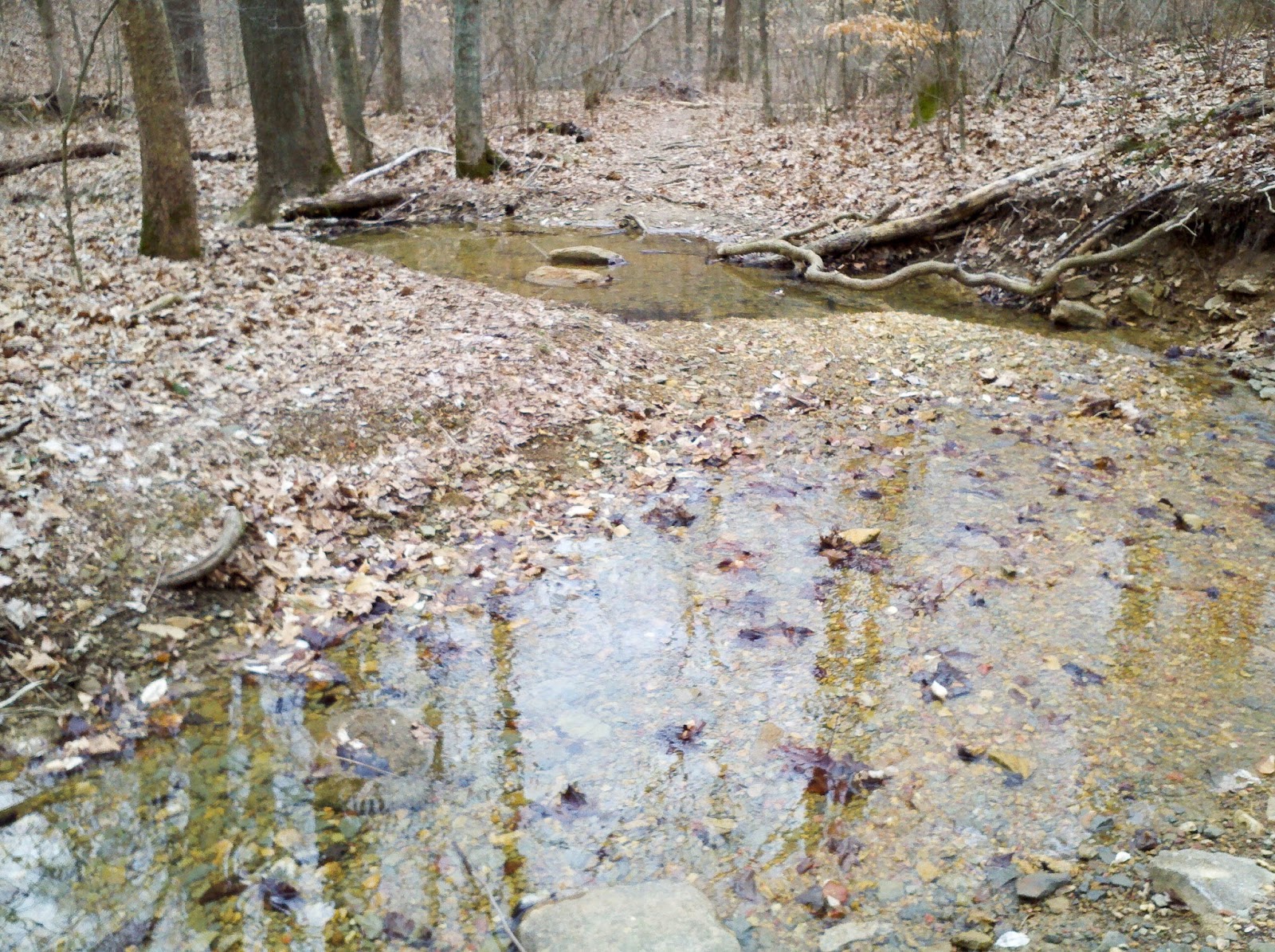 Trails of Louisville Red Trail Jefferson Memorial Forest