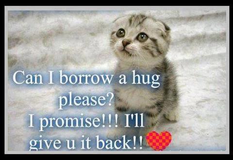 Can+I+borrow+a+hug+please+I+promise+I'll+give+u+it+back.jpg