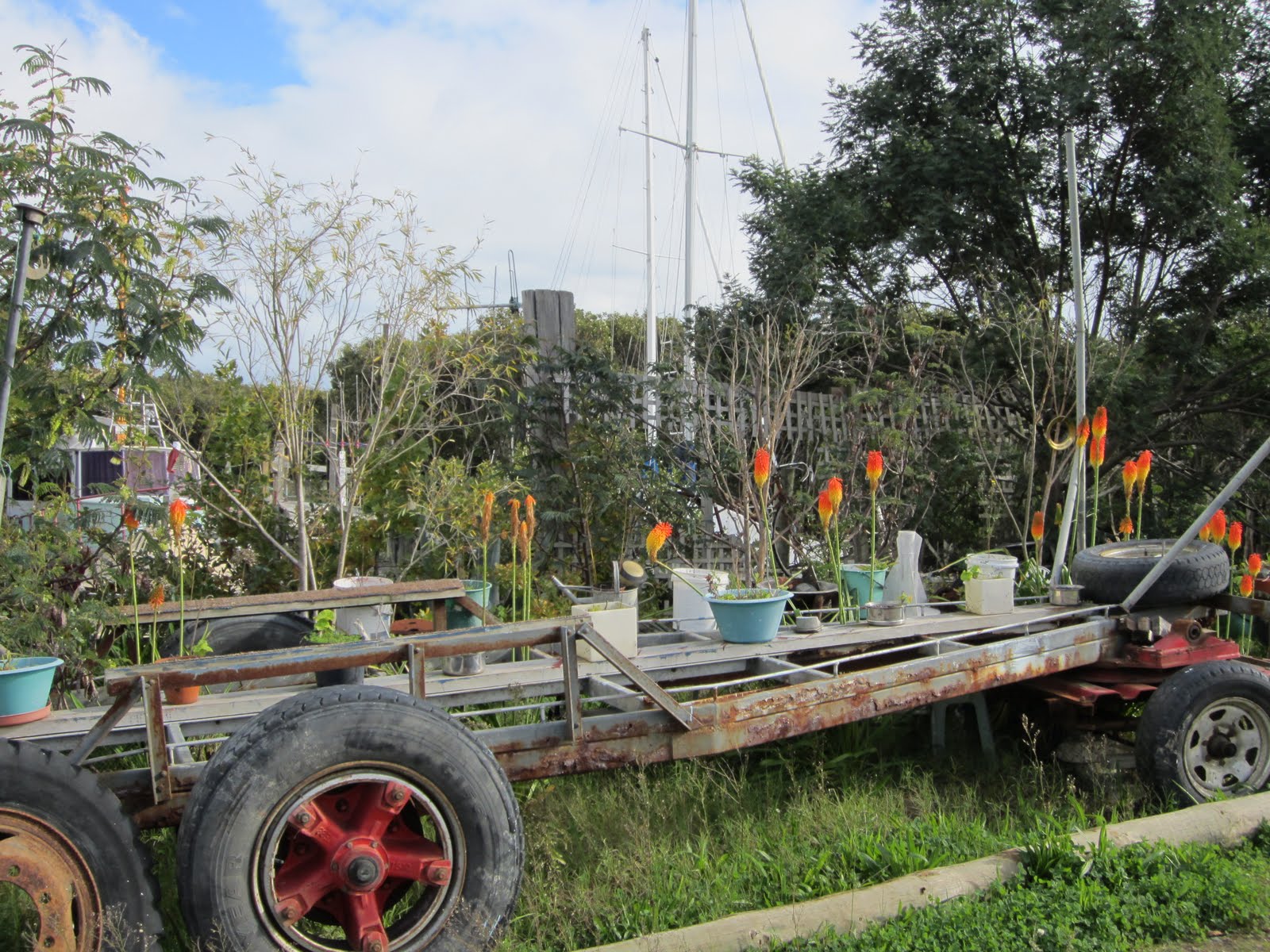 Nishikata Film Review