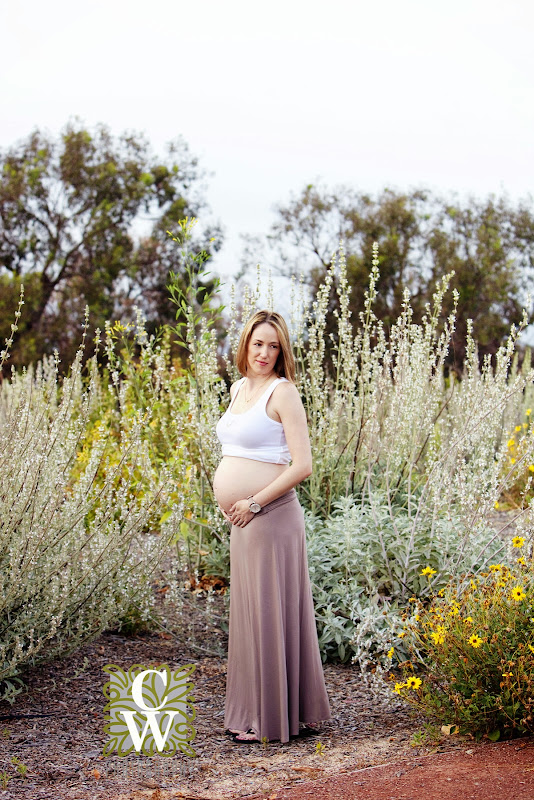 maternity family portrait willow springspark