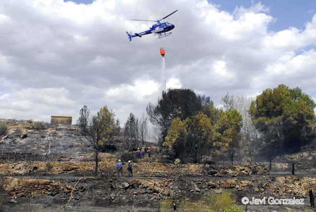 incendios, Mequinenza