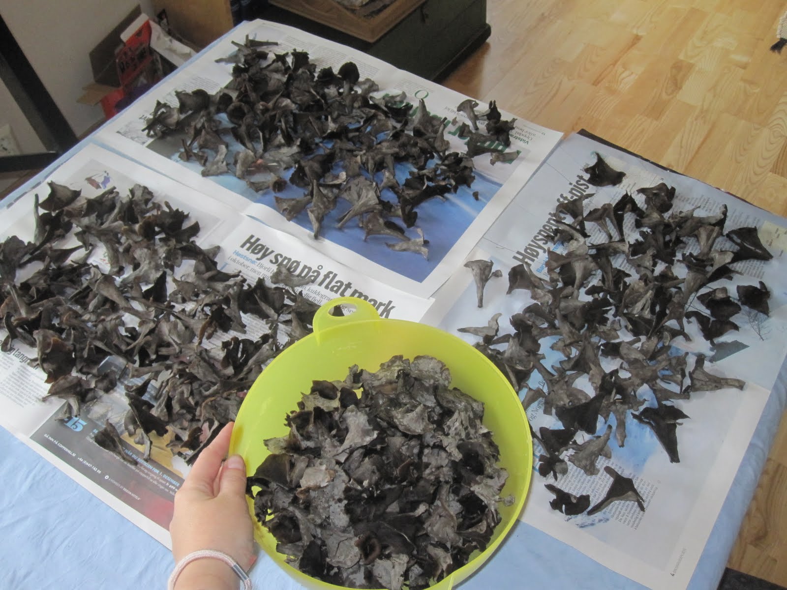 Grillede Soppspyd Med Svart Trompetsopp