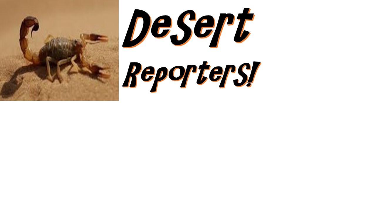 Desert Reporters!