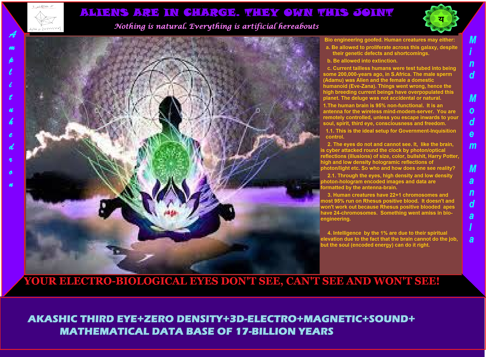 THE ELECTRO MAGNETIC THIRD EYE
